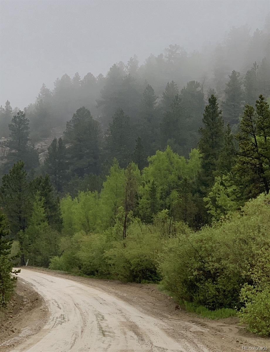 MLS Image #48 for 257  sunny skies trail,idaho springs, Colorado