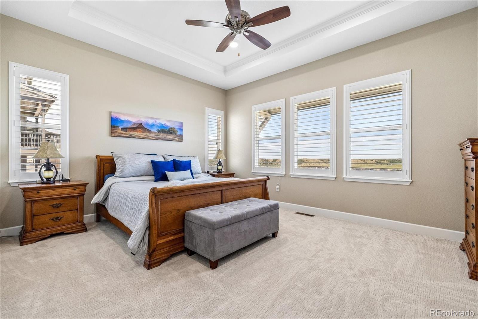 MLS Image #19 for 5378  hickory oaks trail,castle rock, Colorado