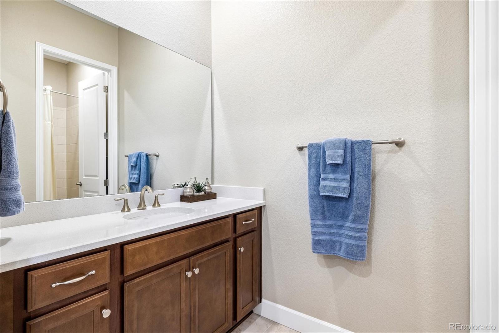 MLS Image #8 for 5378  hickory oaks trail,castle rock, Colorado