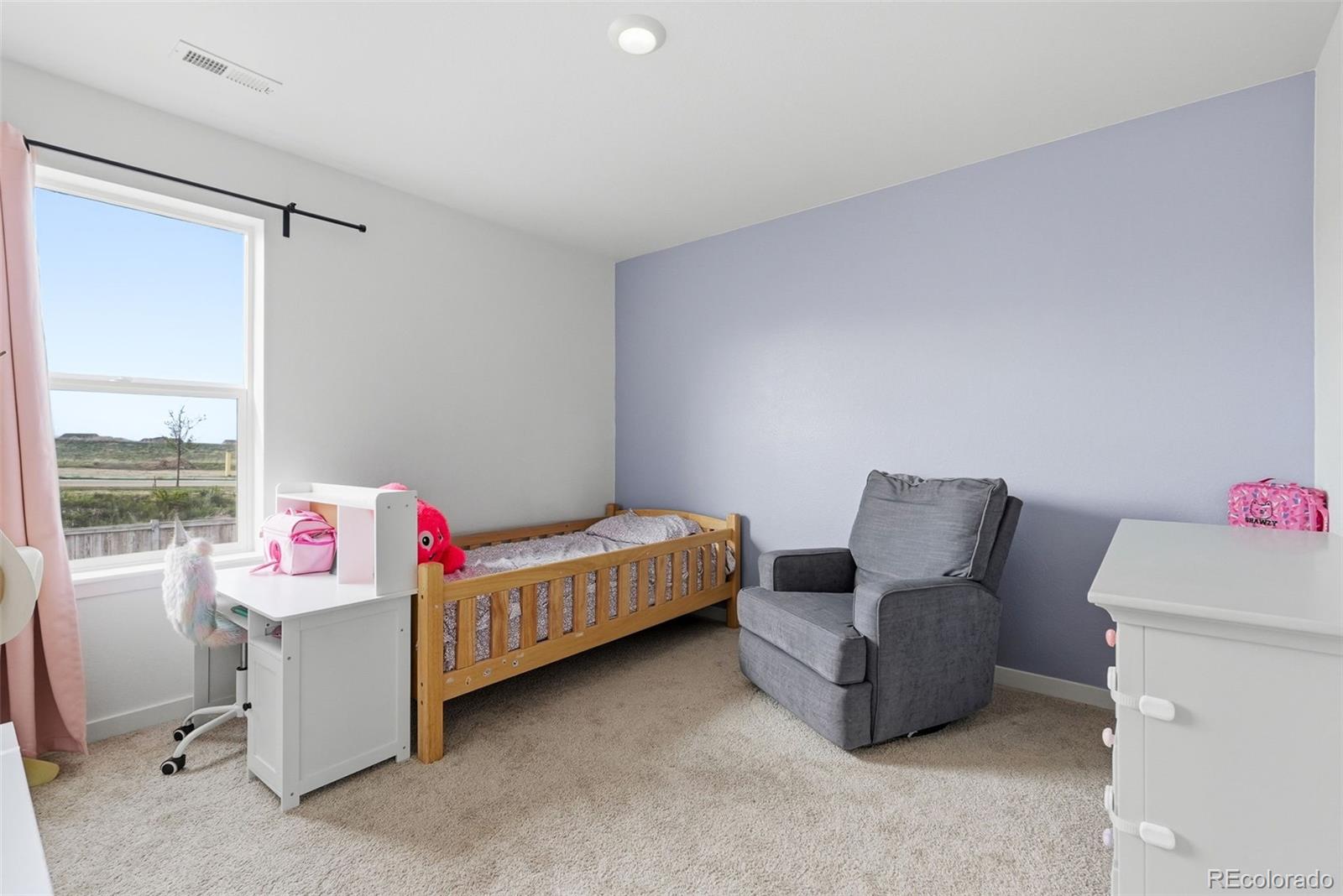 MLS Image #29 for 18035  dandy brush drive,parker, Colorado