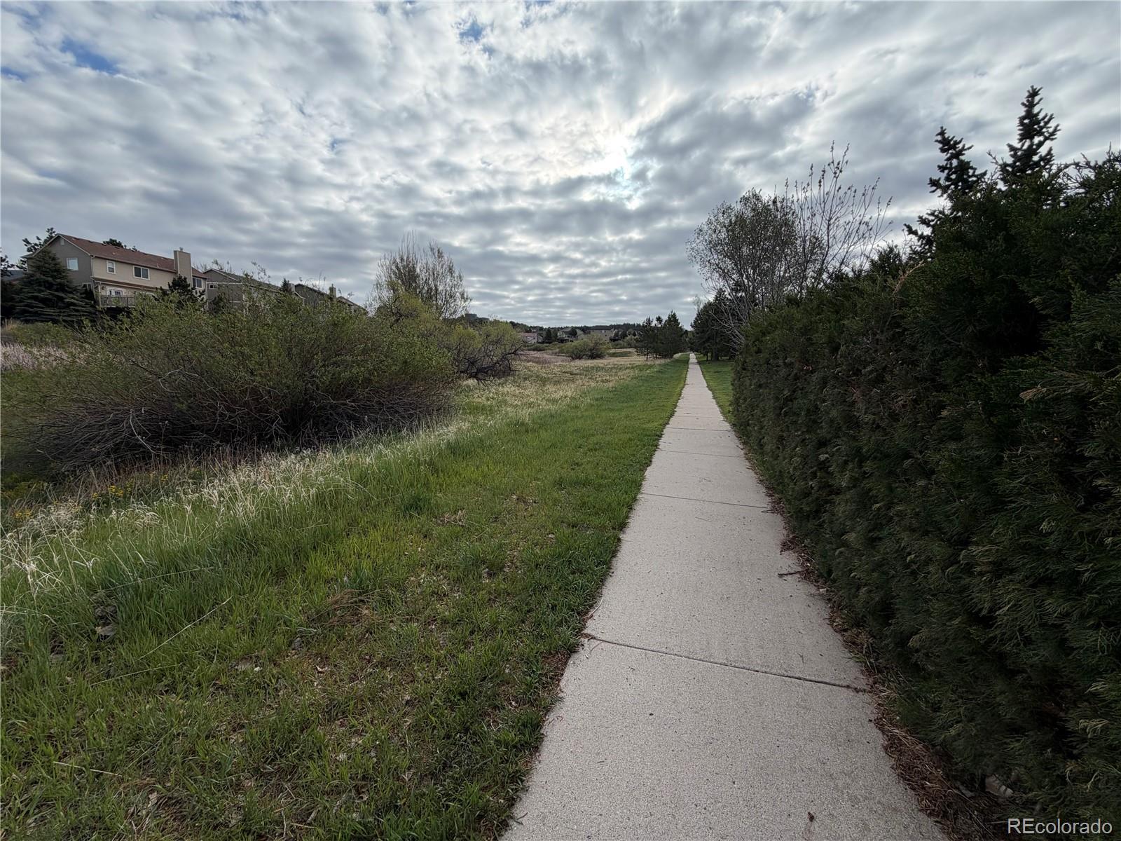 MLS Image #12 for 15443  jessie drive,colorado springs, Colorado