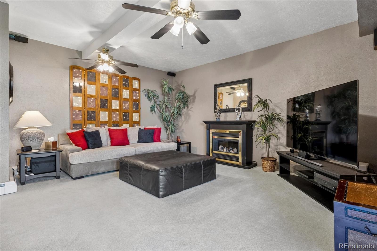 MLS Image #12 for 233  ash avenue,castle rock, Colorado