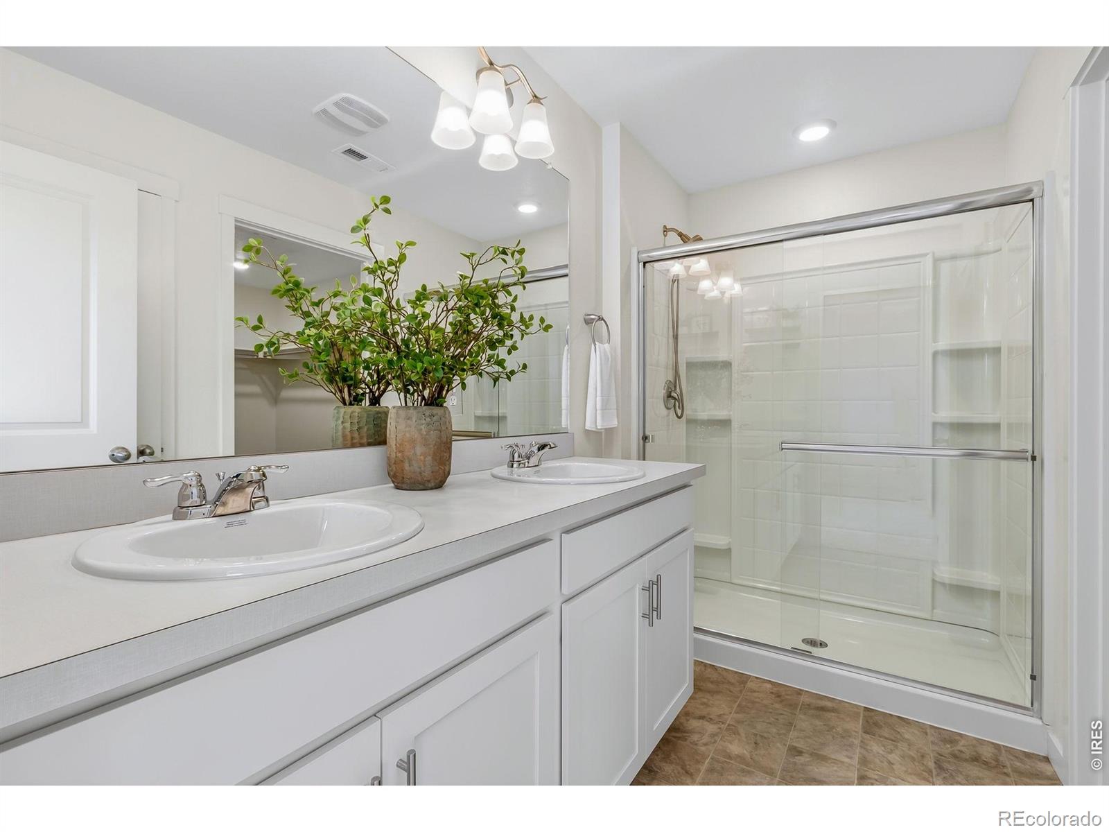 MLS Image #10 for 3759  catmint street,wellington, Colorado