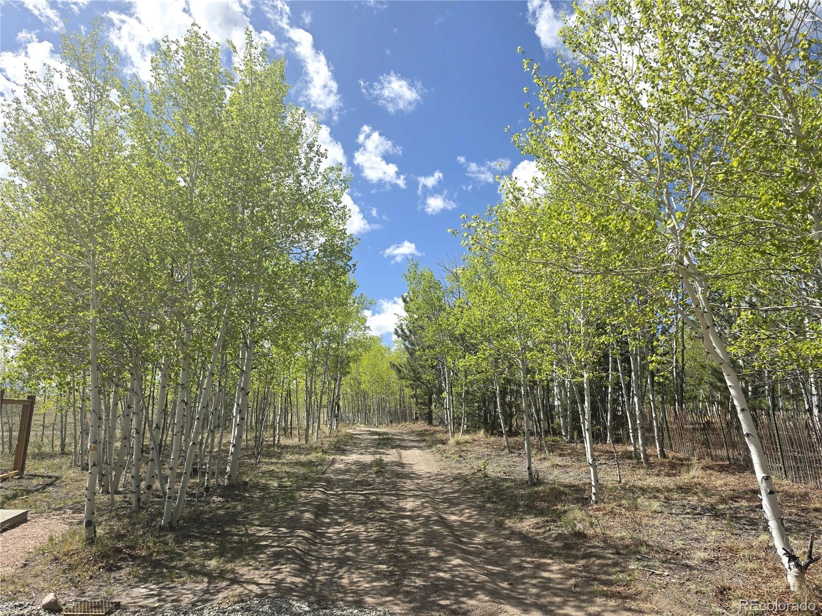 MLS Image #22 for 899  concho trail,hartsel, Colorado