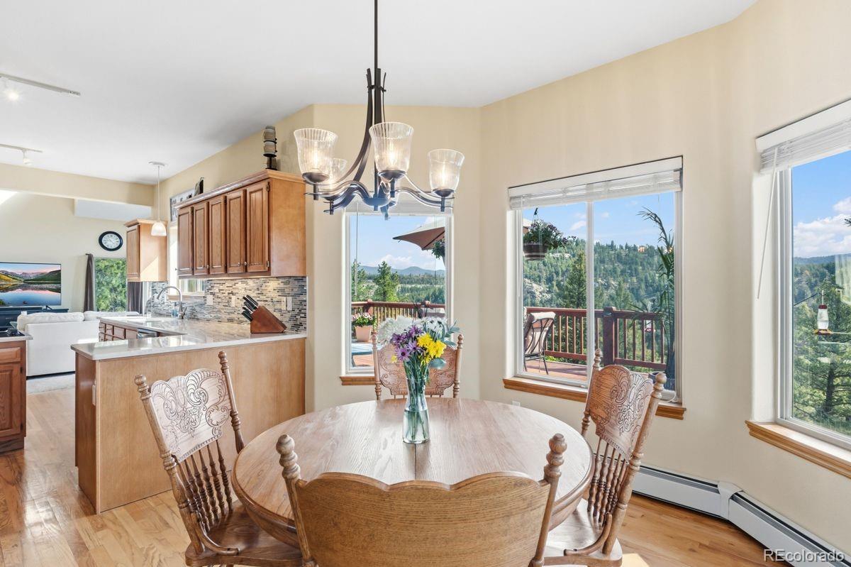MLS Image #10 for 163  old corral road,bailey, Colorado
