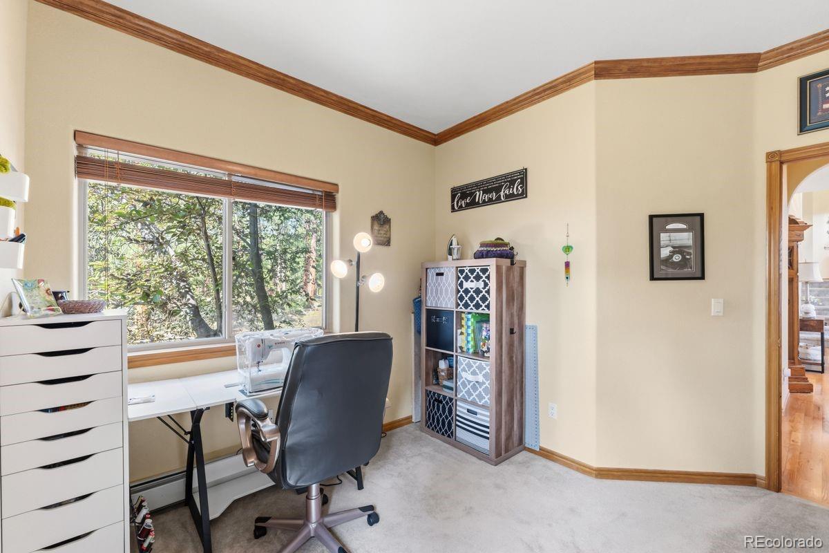 MLS Image #12 for 163  old corral road,bailey, Colorado