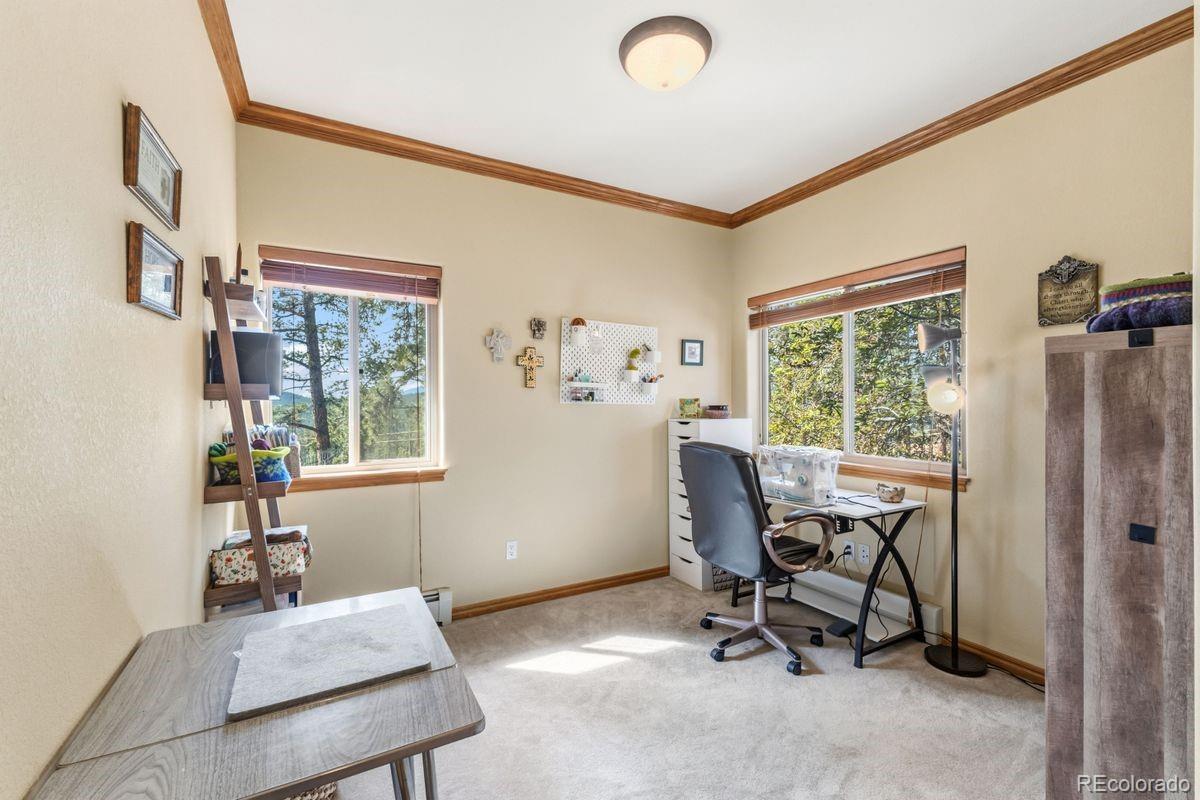 MLS Image #13 for 163  old corral road,bailey, Colorado