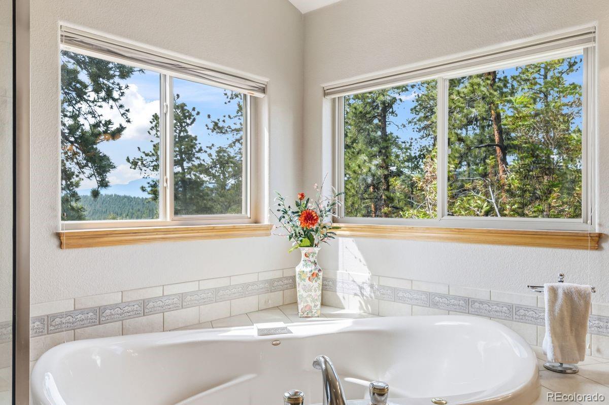 MLS Image #31 for 163  old corral road,bailey, Colorado