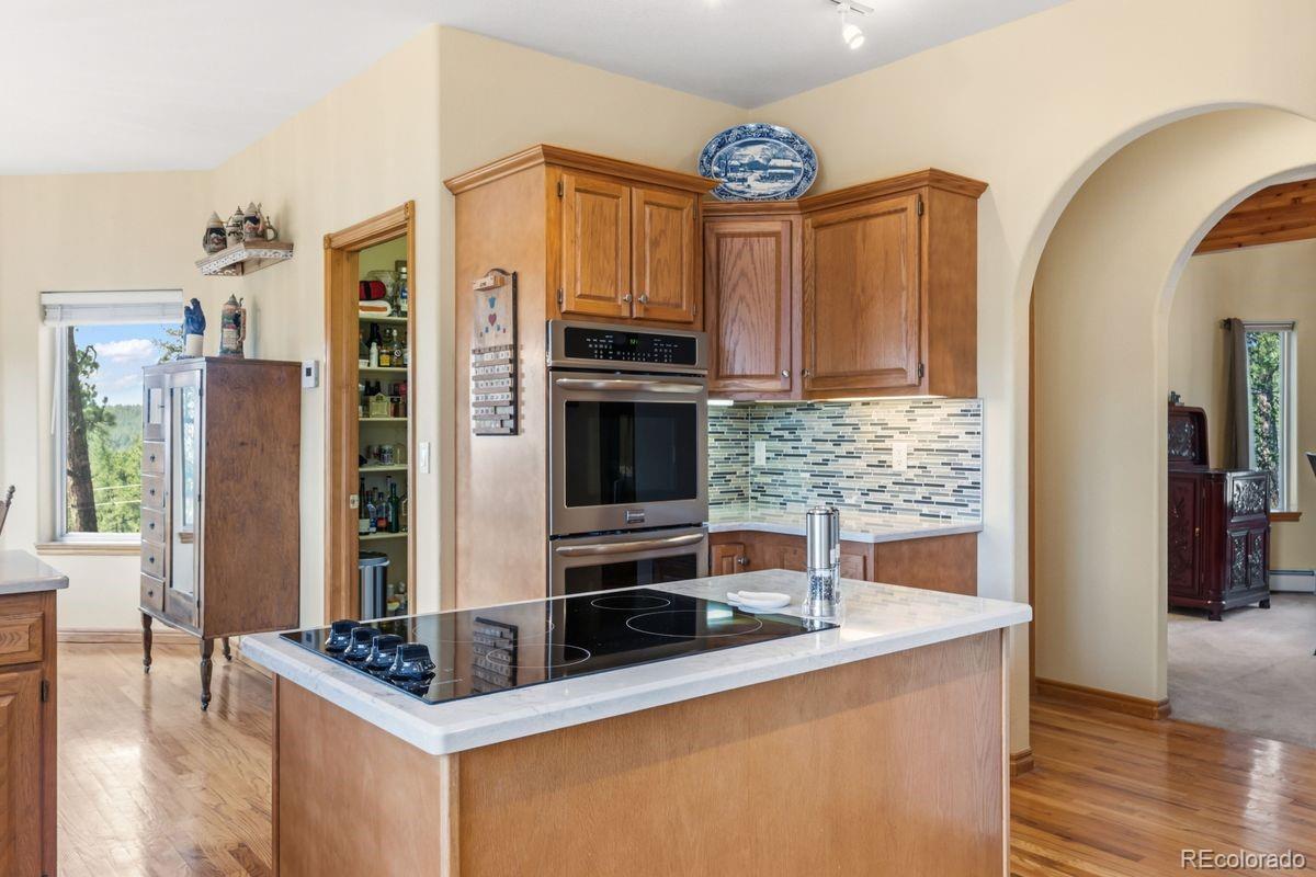 MLS Image #8 for 163  old corral road,bailey, Colorado