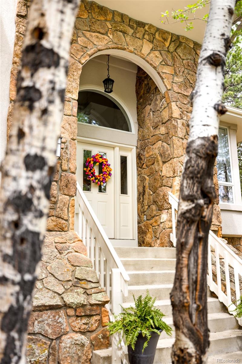 MLS Image #1 for 29360  northstar lane,evergreen, Colorado