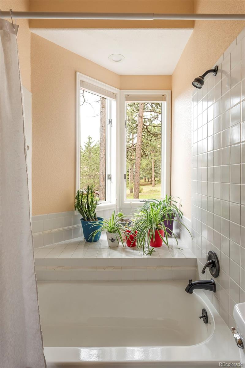 MLS Image #16 for 29360  northstar lane,evergreen, Colorado