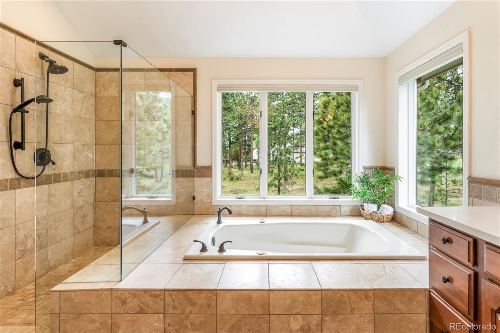 MLS Image #27 for 29360  northstar lane,evergreen, Colorado
