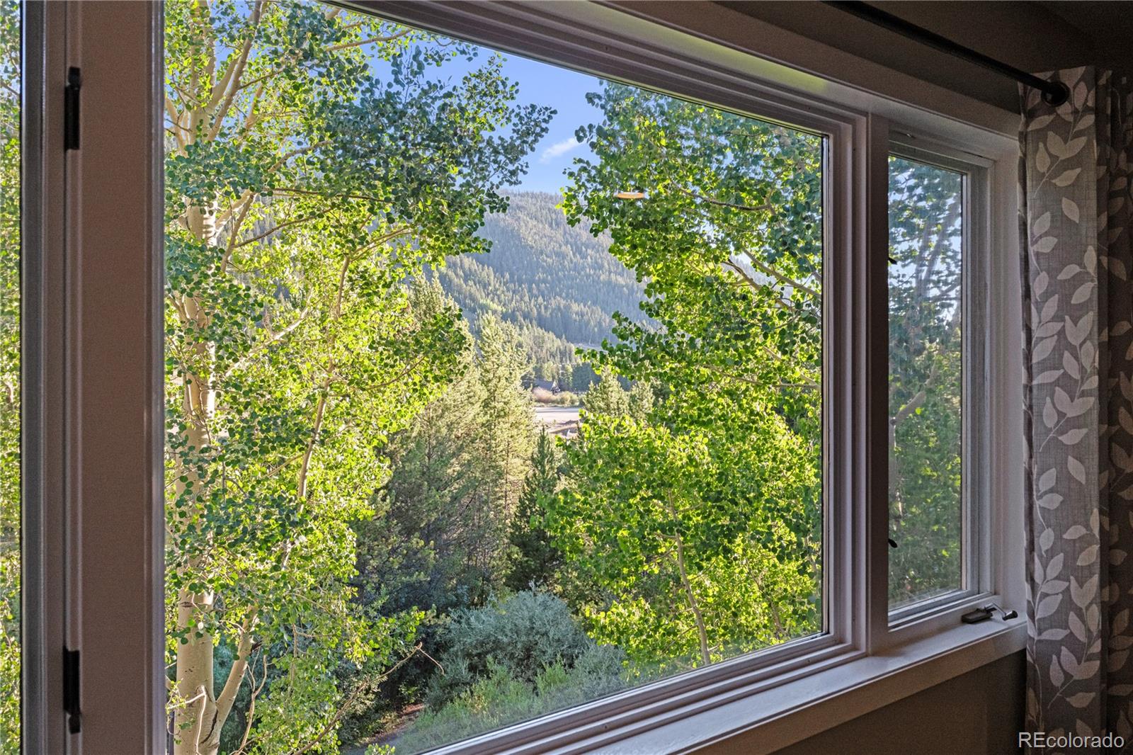 MLS Image #18 for 1653  oro grande drive,dillon, Colorado