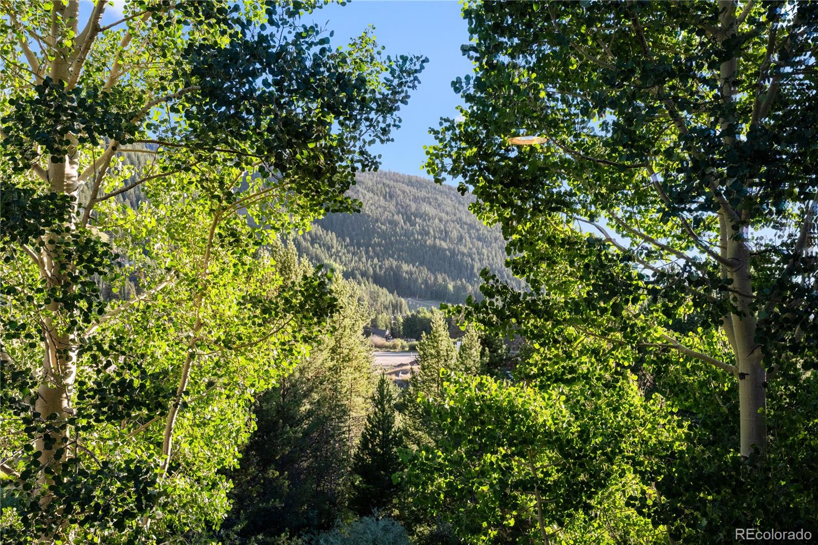 MLS Image #19 for 1653  oro grande drive,dillon, Colorado