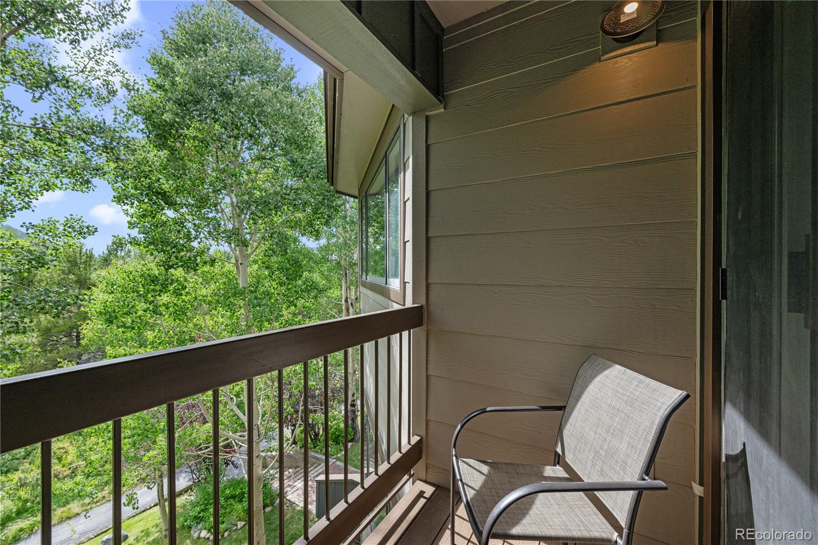 MLS Image #32 for 1653  oro grande drive,dillon, Colorado