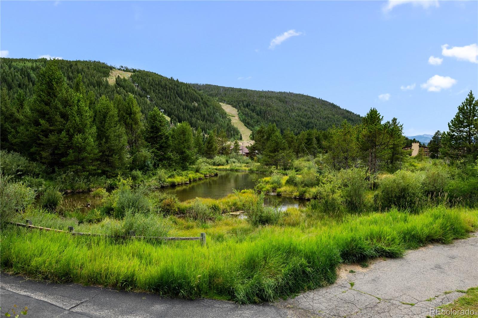 MLS Image #37 for 1653  oro grande drive,dillon, Colorado