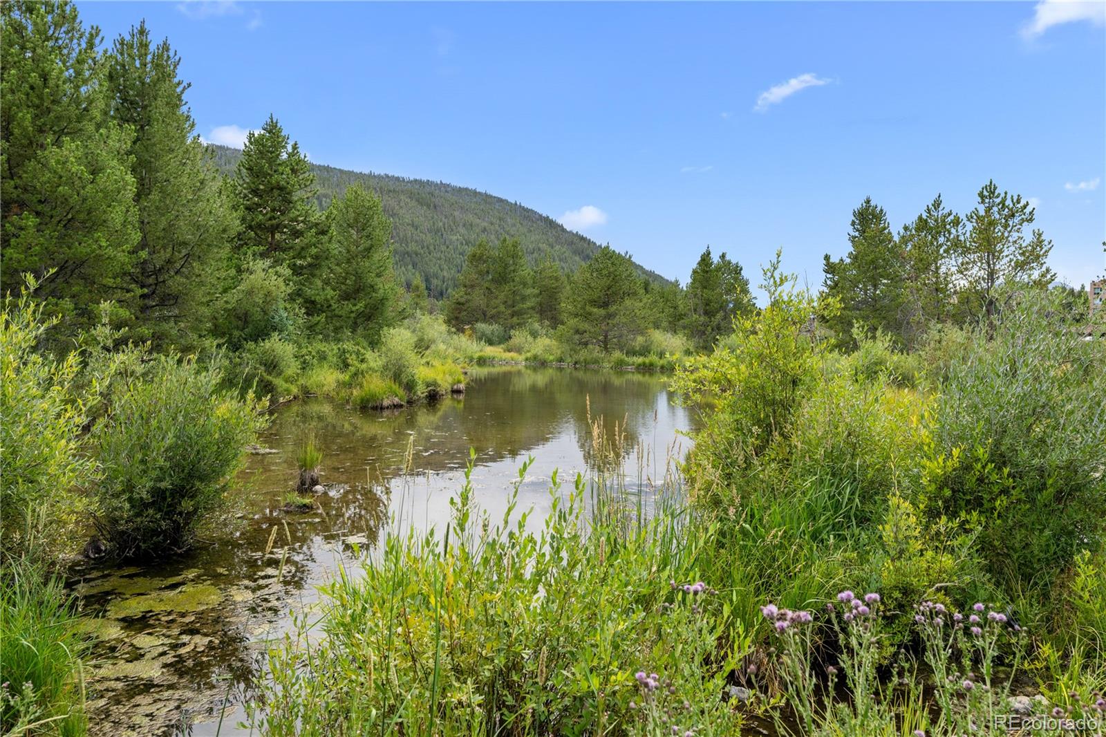 MLS Image #38 for 1653  oro grande drive,dillon, Colorado