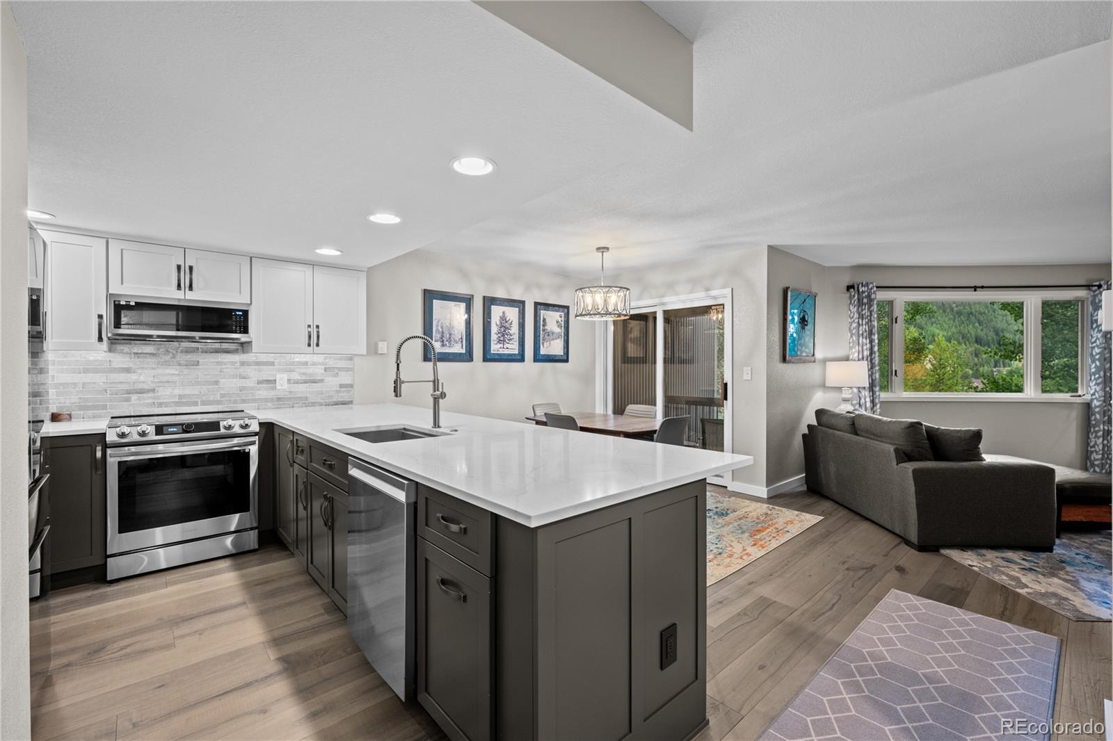 MLS Image #6 for 1653  oro grande drive,dillon, Colorado