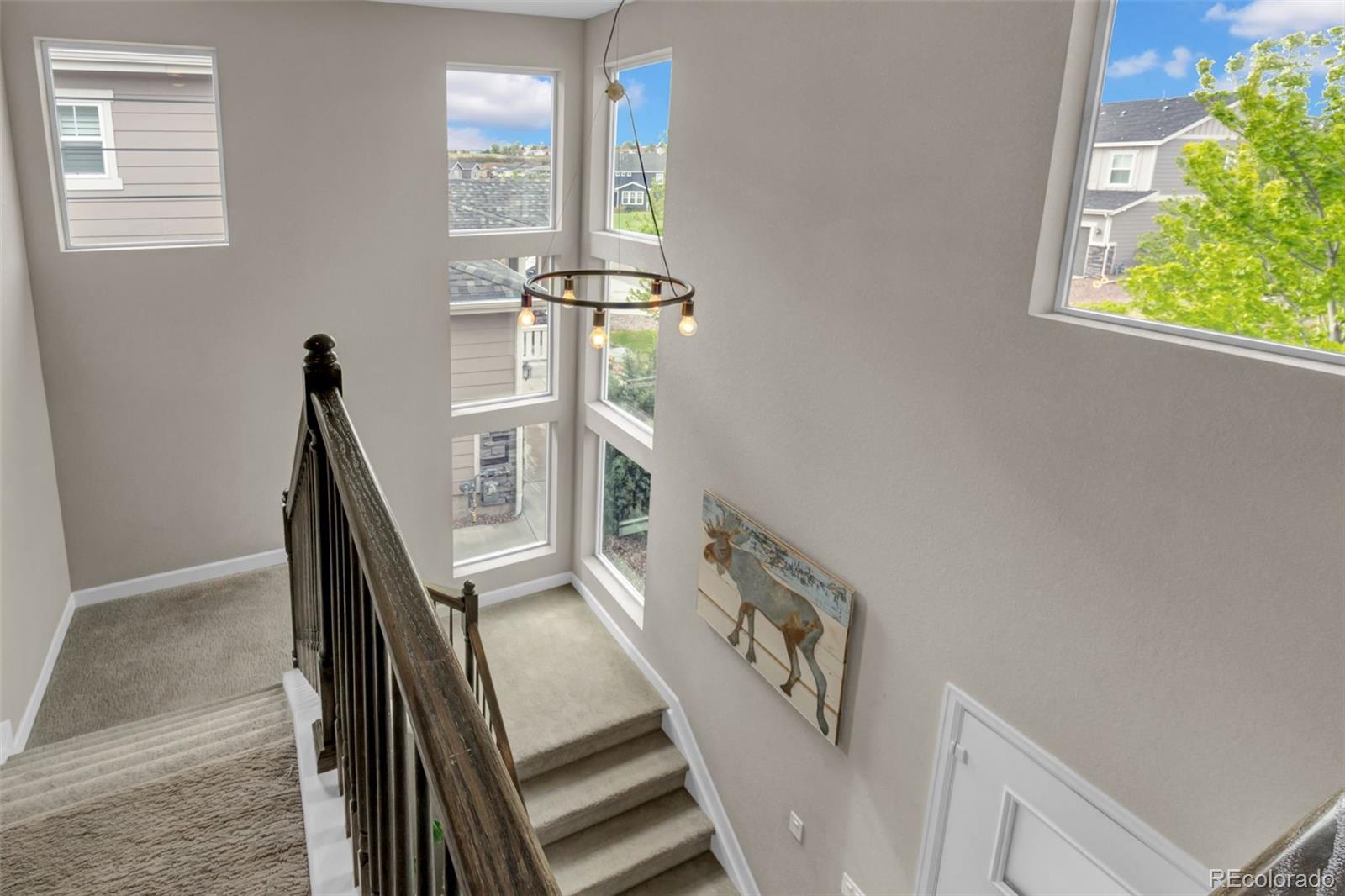 MLS Image #14 for 1065  white leaf circle,castle rock, Colorado