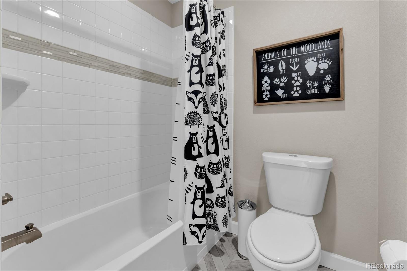 MLS Image #23 for 1065  white leaf circle,castle rock, Colorado