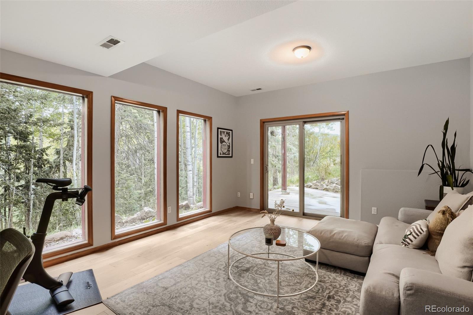 MLS Image #18 for 32292  lodgepole drive,evergreen, Colorado