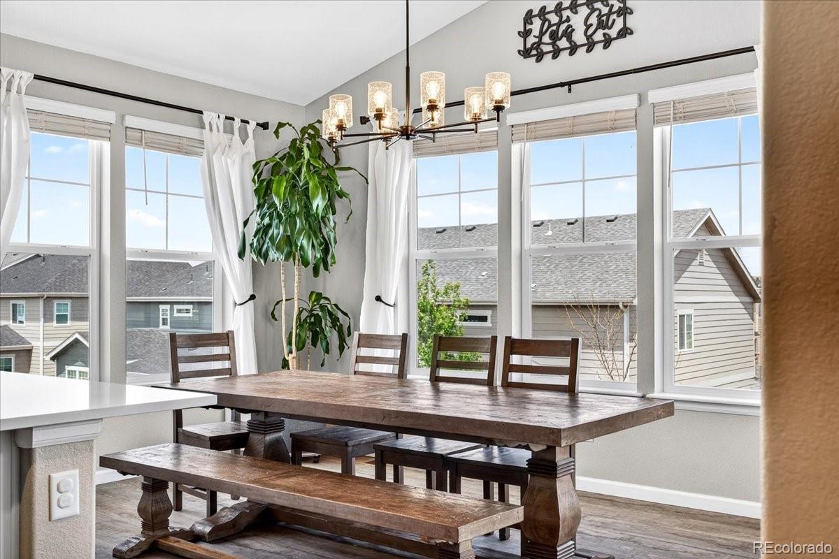 MLS Image #16 for 5176  ditmars trail,castle rock, Colorado