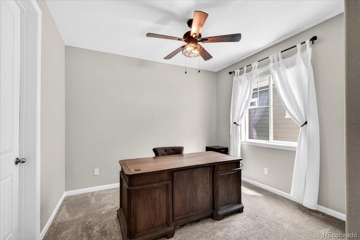MLS Image #22 for 5176  ditmars trail,castle rock, Colorado