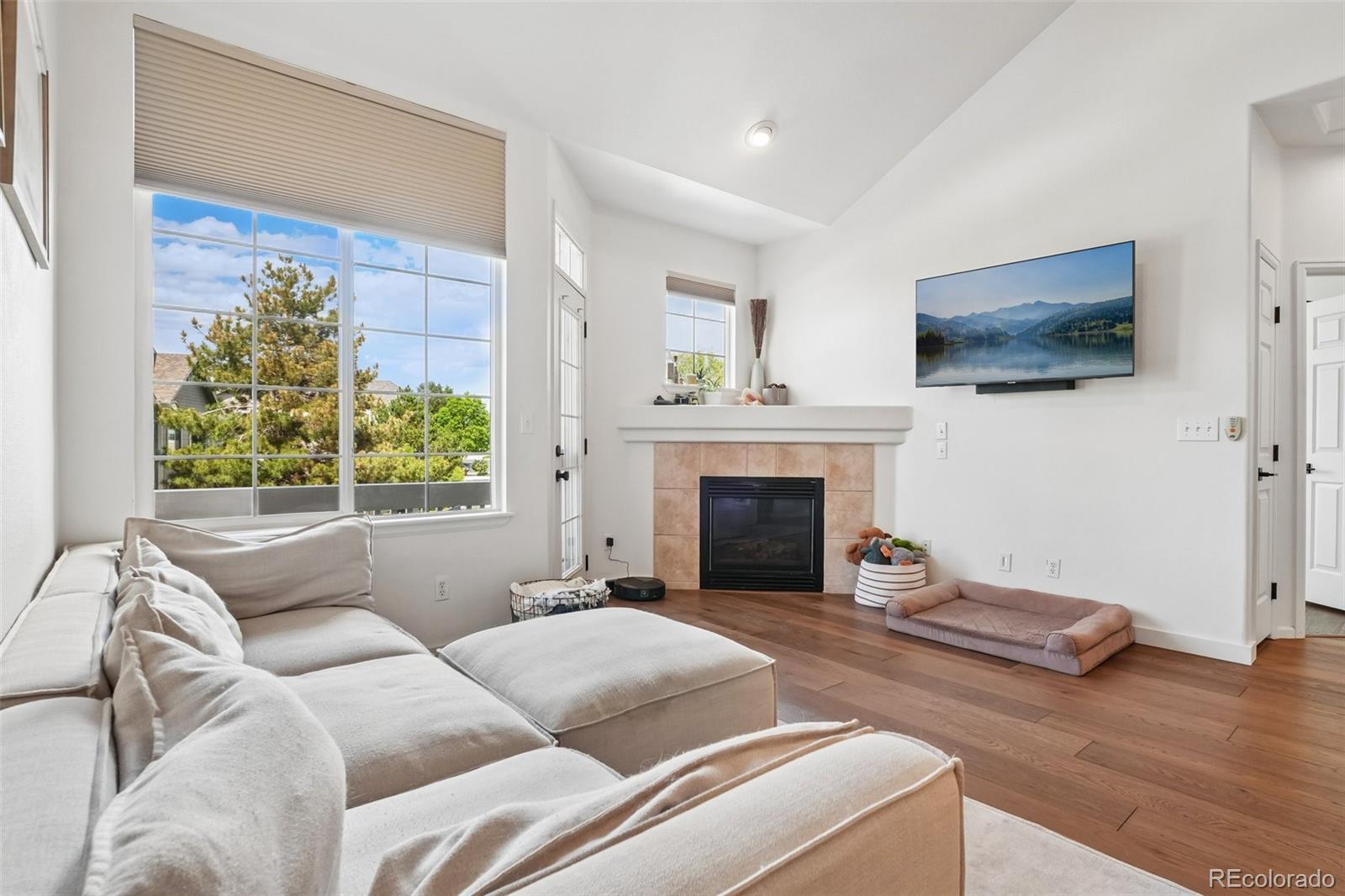 MLS Image #3 for 9465  carlyle park place,highlands ranch, Colorado
