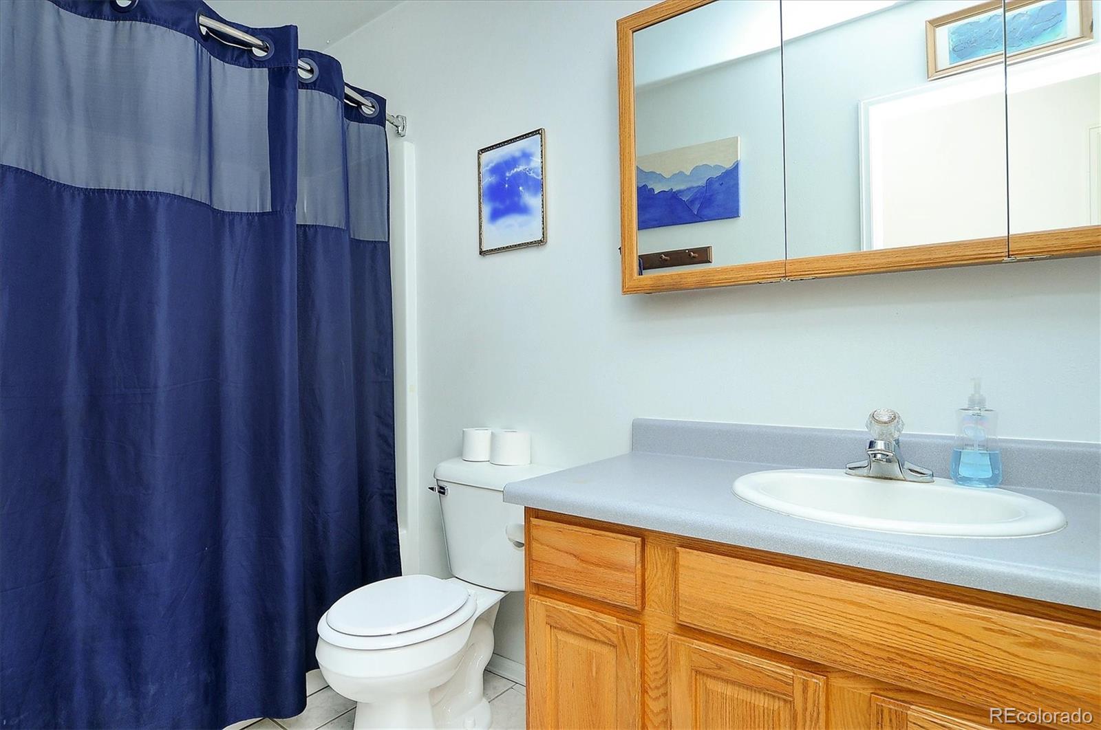 MLS Image #15 for 29750  county road 353 ,buena vista, Colorado