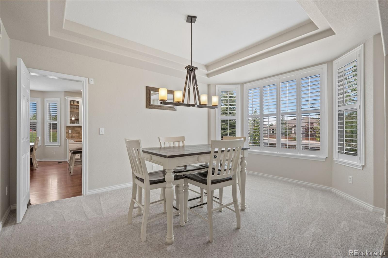 MLS Image #3 for 7245  obsidian lane,castle rock, Colorado