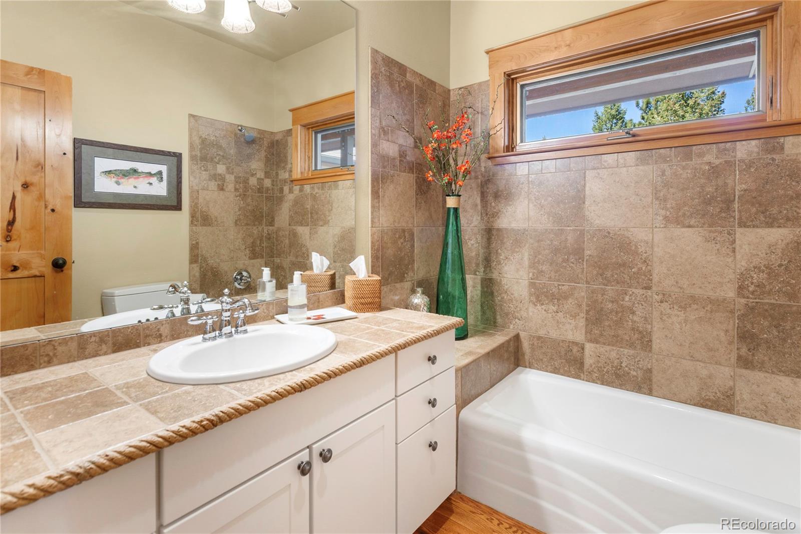 MLS Image #15 for 368  patricia point,woodland park, Colorado