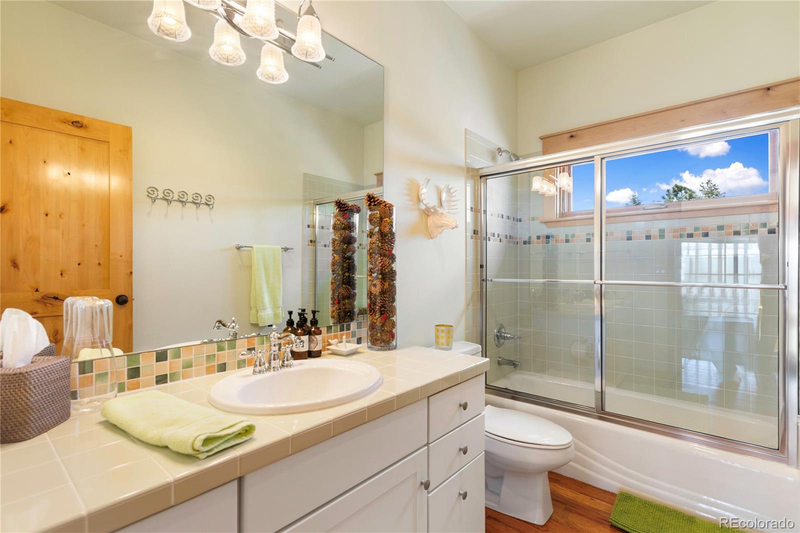 MLS Image #26 for 368  patricia point,woodland park, Colorado