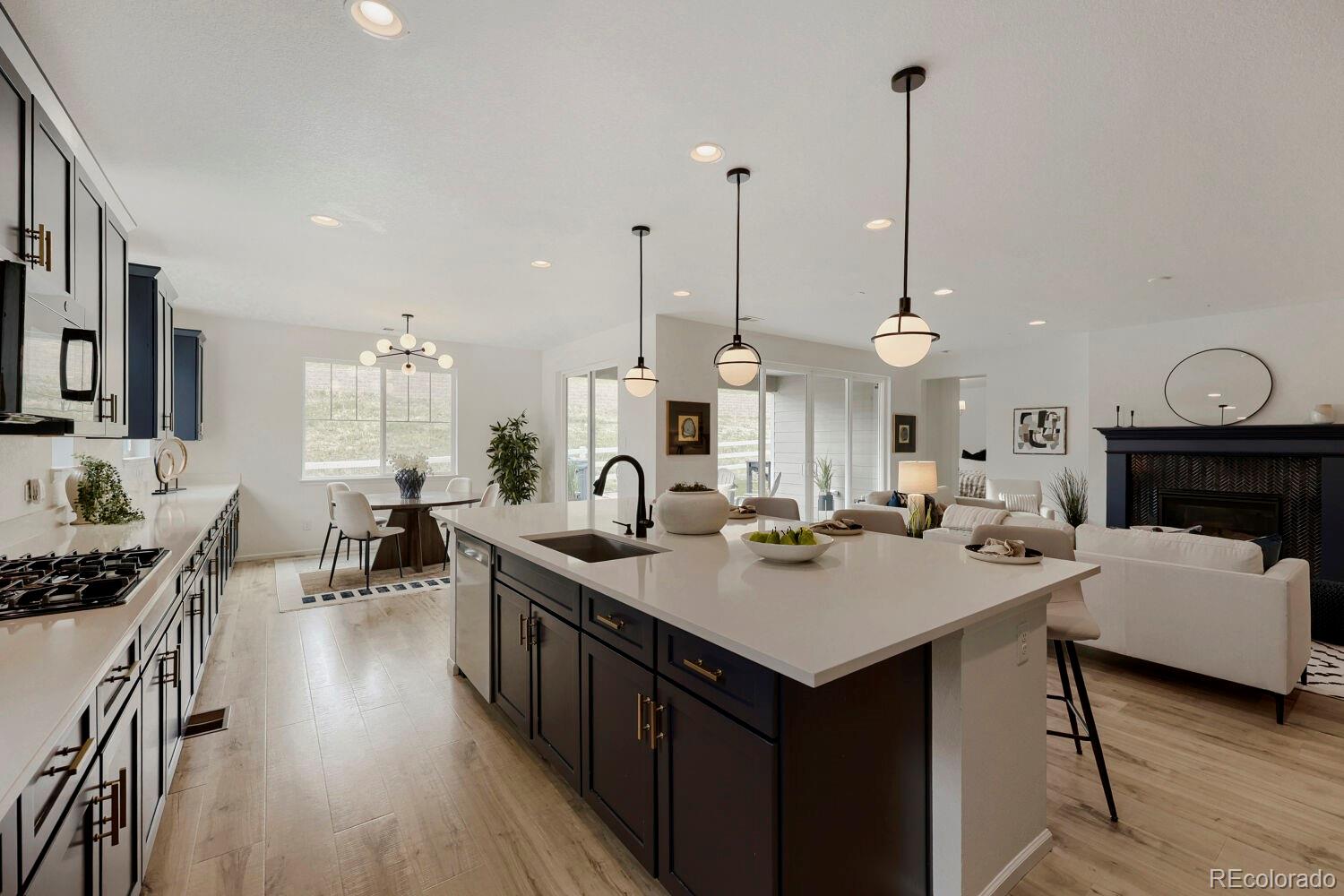 MLS Image #3 for 5208  silver hare court,castle rock, Colorado