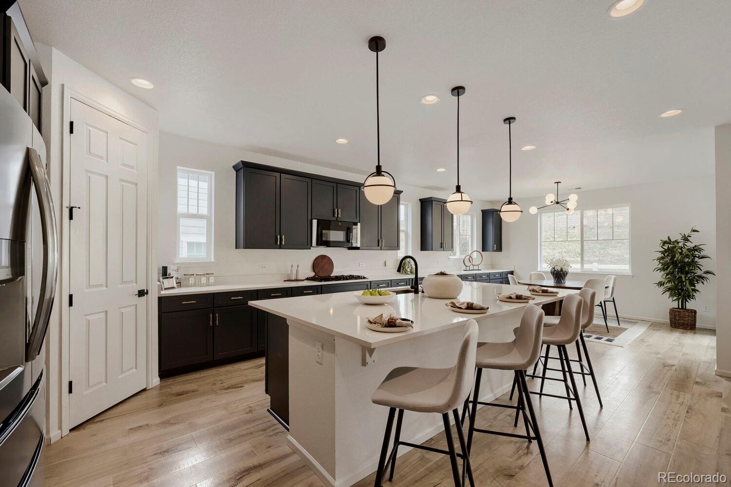 MLS Image #4 for 5208  silver hare court,castle rock, Colorado