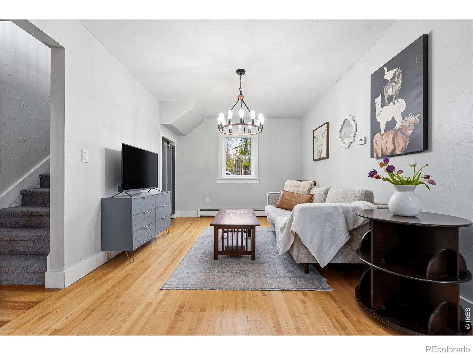 MLS Image #11 for 31551  black widow drive,conifer, Colorado