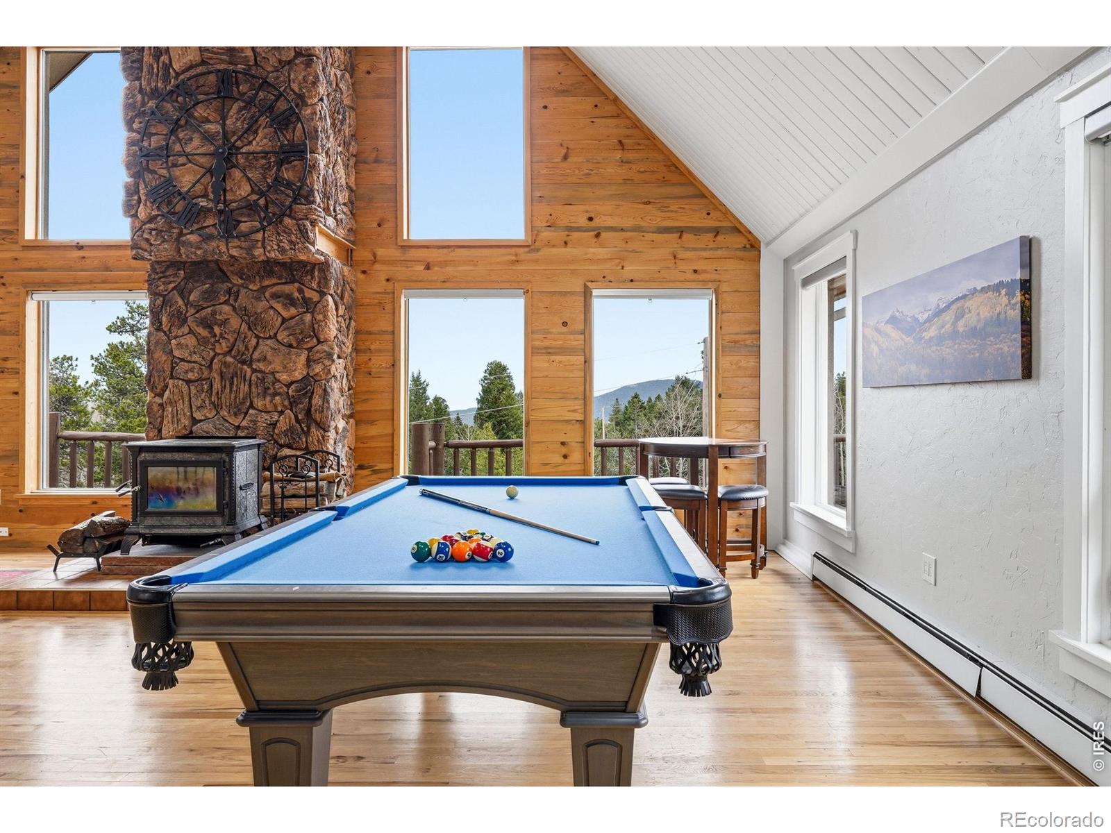 MLS Image #13 for 31551  black widow drive,conifer, Colorado