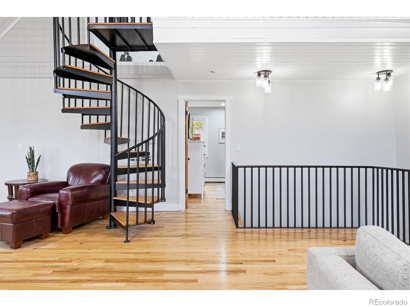 MLS Image #14 for 31551  black widow drive,conifer, Colorado