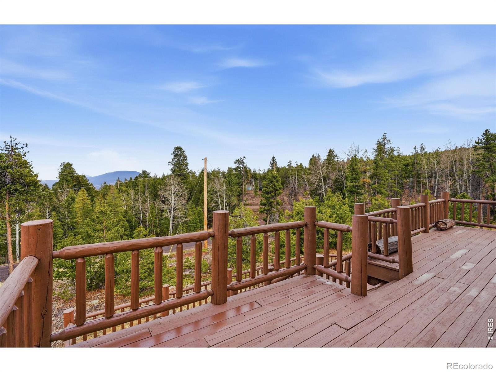 MLS Image #39 for 31551  black widow drive,conifer, Colorado