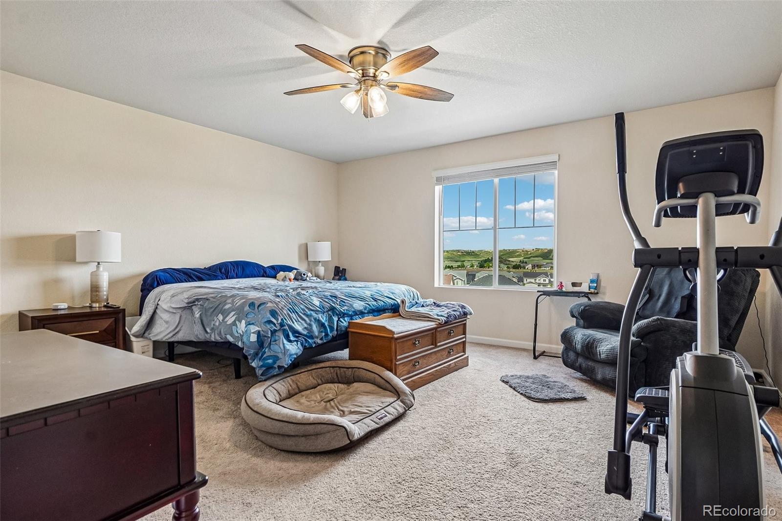 MLS Image #6 for 5328  trails edge lane,castle rock, Colorado