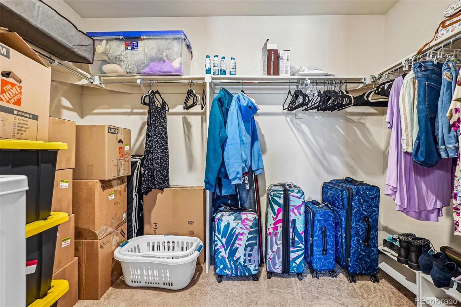 MLS Image #8 for 5328  trails edge lane,castle rock, Colorado