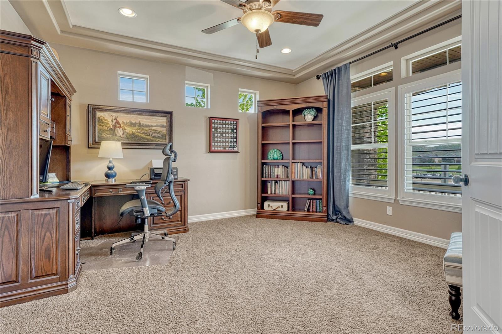 MLS Image #14 for 1373  clear sky way,castle rock, Colorado