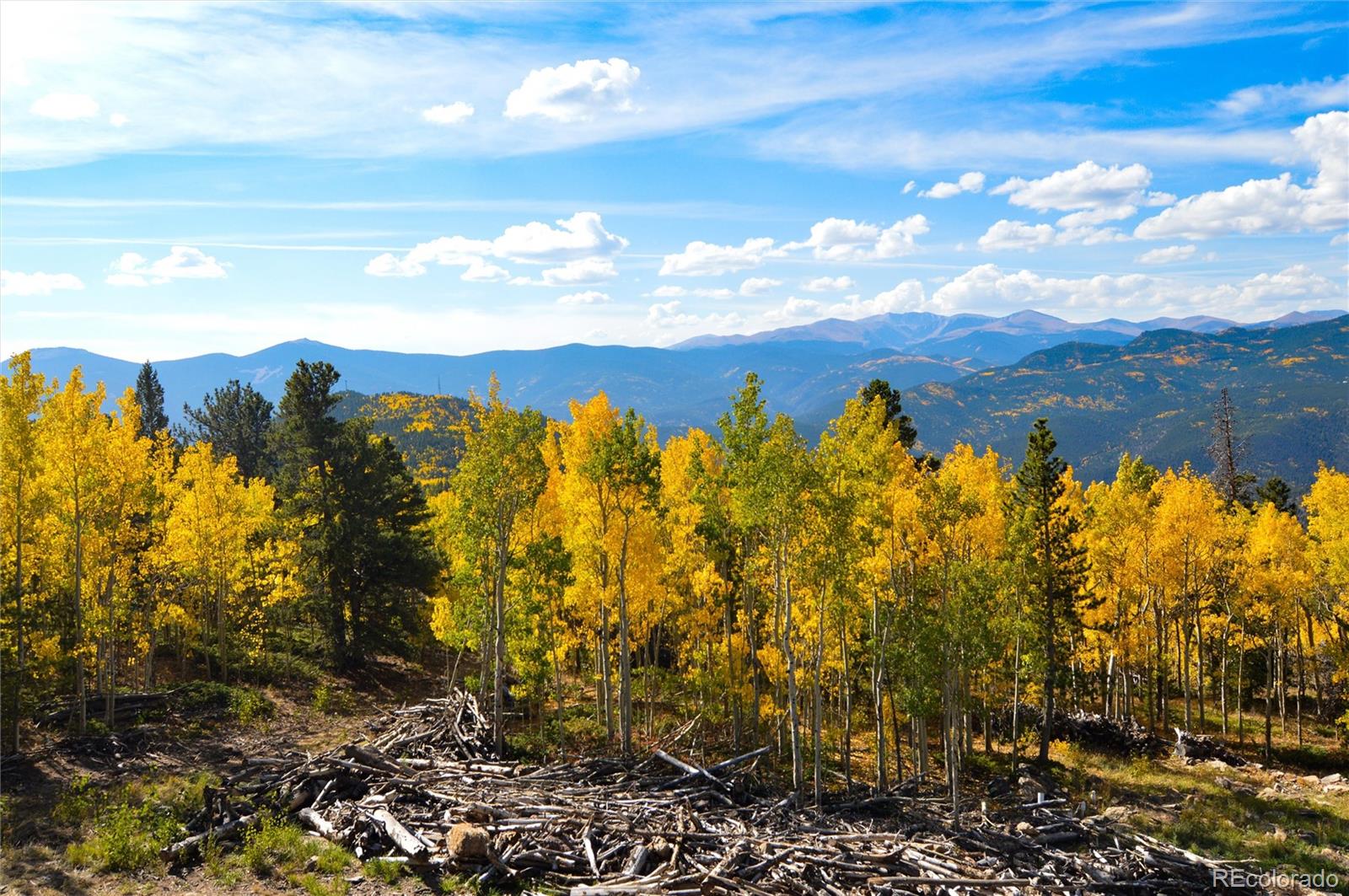 MLS Image #28 for 565  bald mountain drive,central city, Colorado