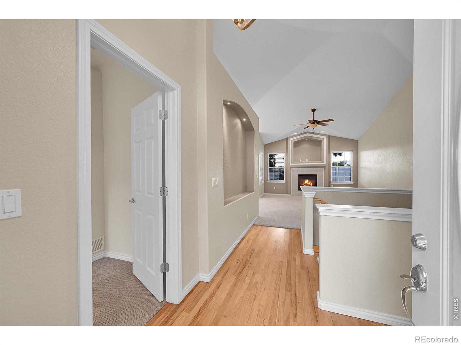 MLS Image #3 for 3729  doral drive,longmont, Colorado