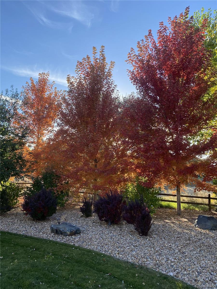 MLS Image #37 for 1222 e 135th place,thornton, Colorado