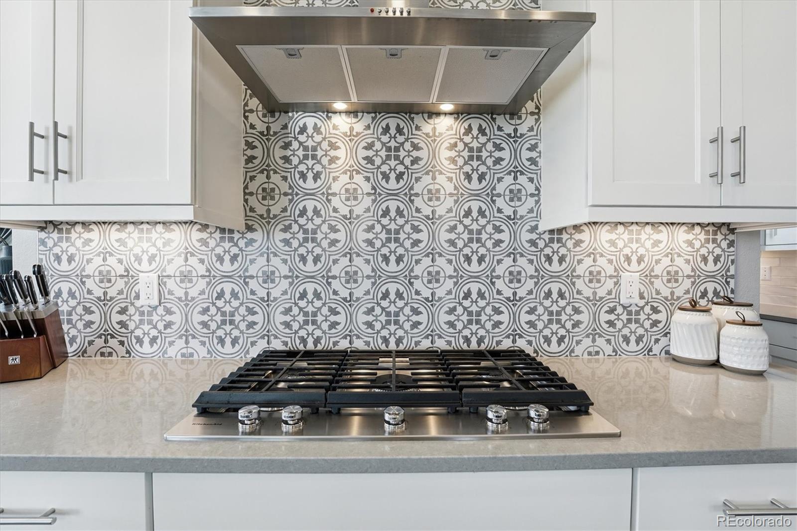 MLS Image #16 for 489  meadowleaf lane,highlands ranch, Colorado