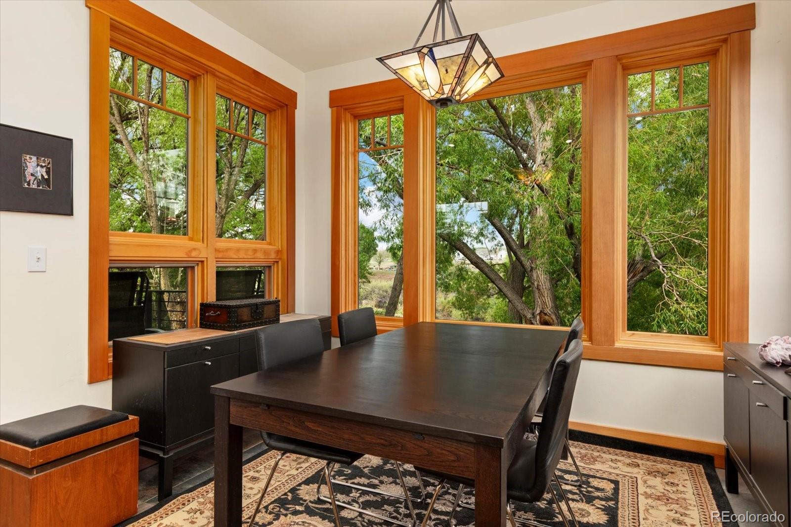 MLS Image #17 for 107  river west drive,salida, Colorado