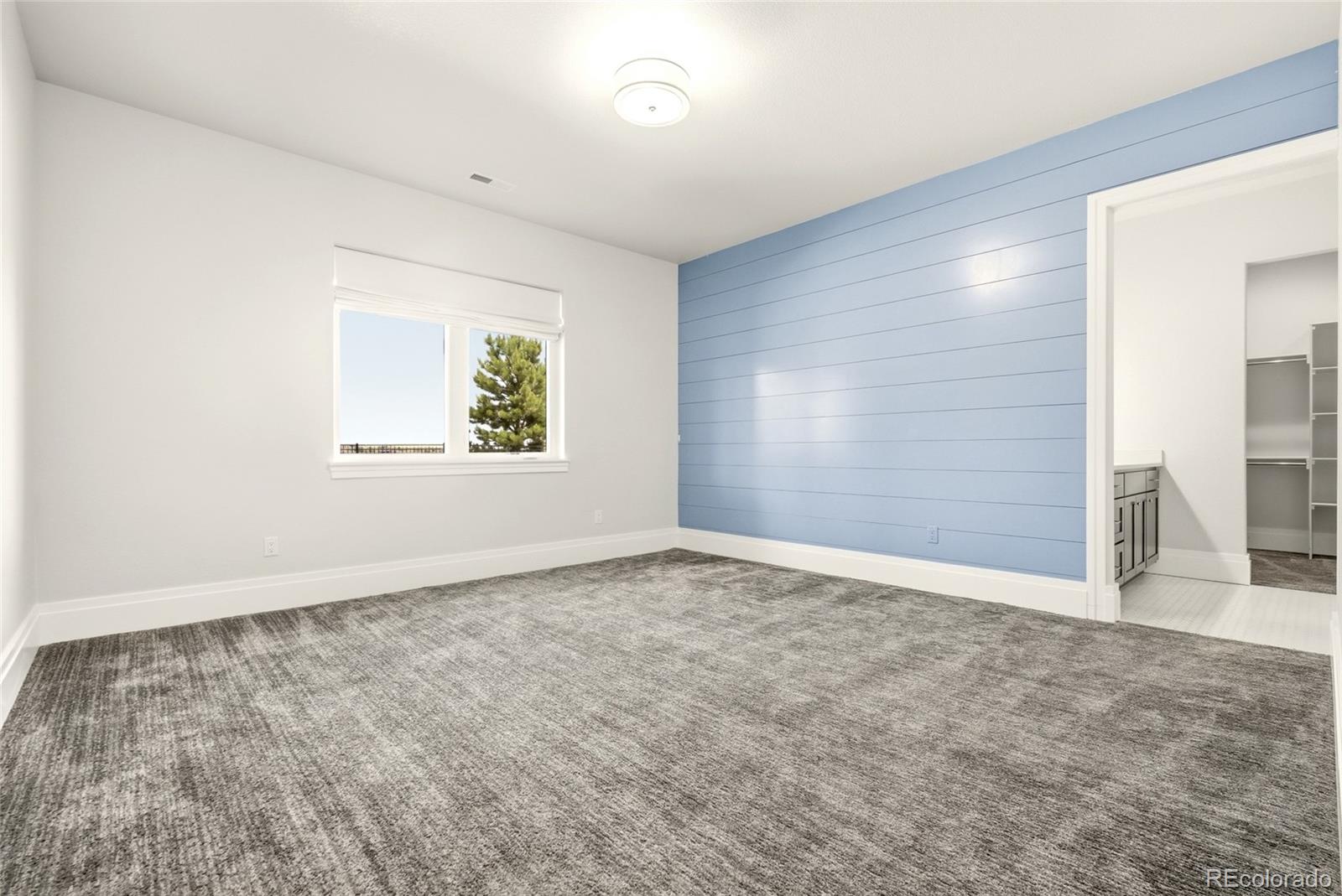 MLS Image #33 for 19038  dorncliffe road,monument, Colorado