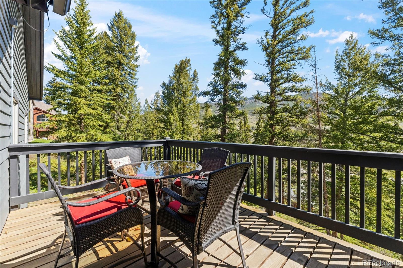 MLS Image #12 for 162  high meadow drive,dillon, Colorado