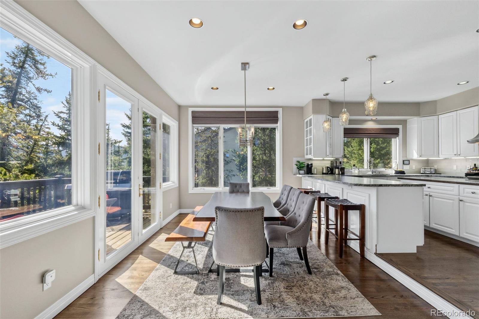 MLS Image #2 for 162  high meadow drive,dillon, Colorado