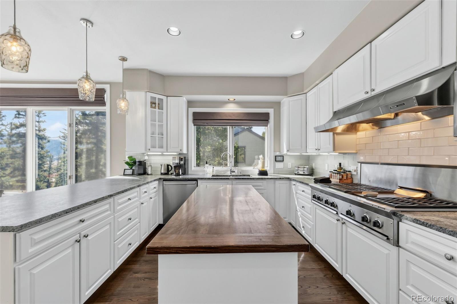MLS Image #5 for 162  high meadow drive,dillon, Colorado